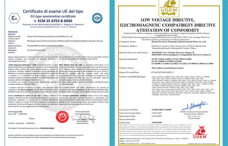 河南省南洋防爆電機(jī)順利通過(guò)CE與ATEX國(guó)際認(rèn)證